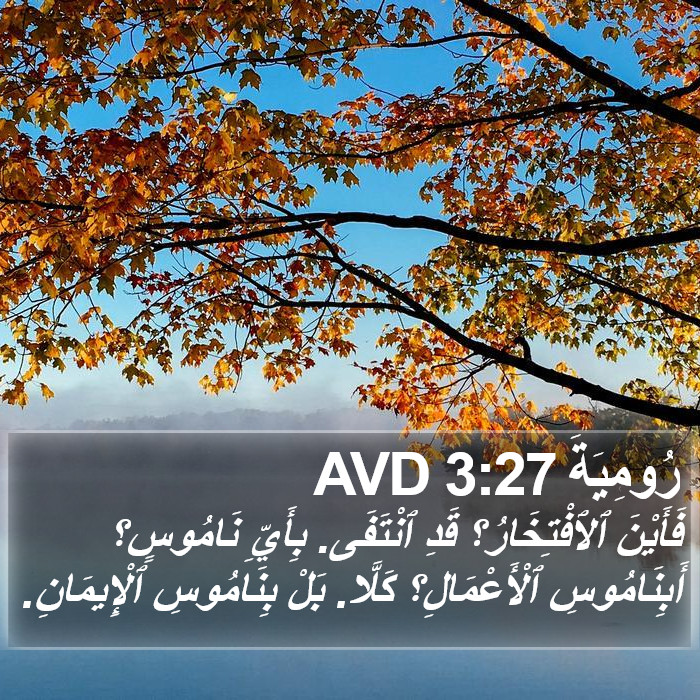 رُومِيَةَ 3:27 AVD Bible Study