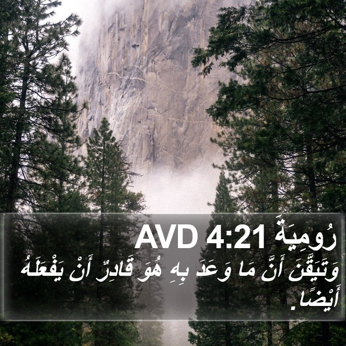 رُومِيَةَ 4:21 AVD Bible Study