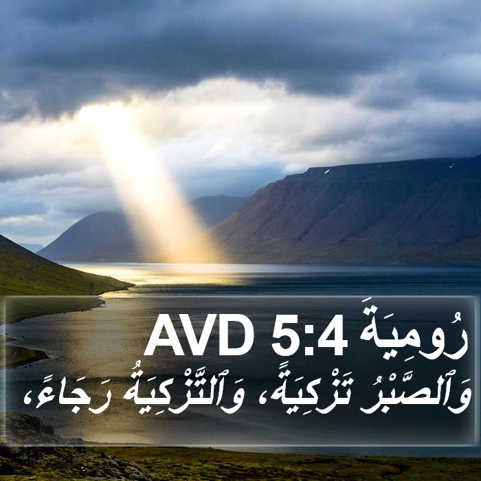 رُومِيَةَ 5:4 AVD Bible Study
