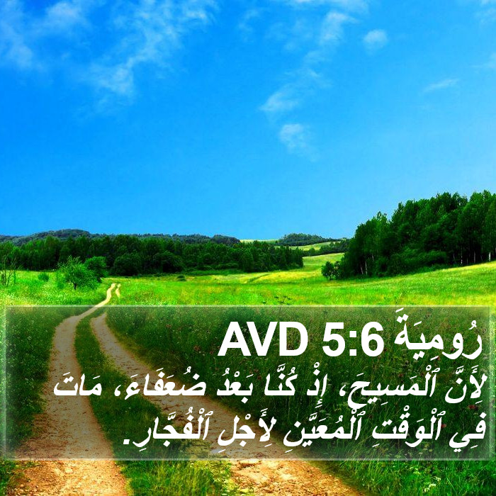 رُومِيَةَ 5:6 AVD Bible Study