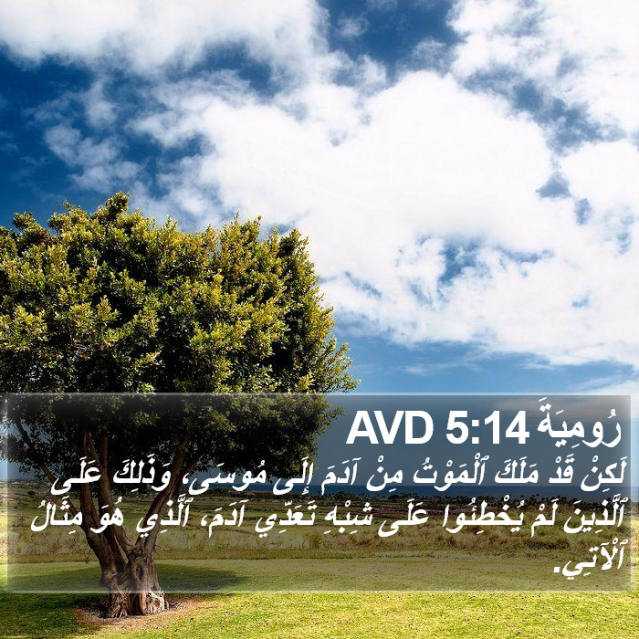 رُومِيَةَ 5:14 AVD Bible Study