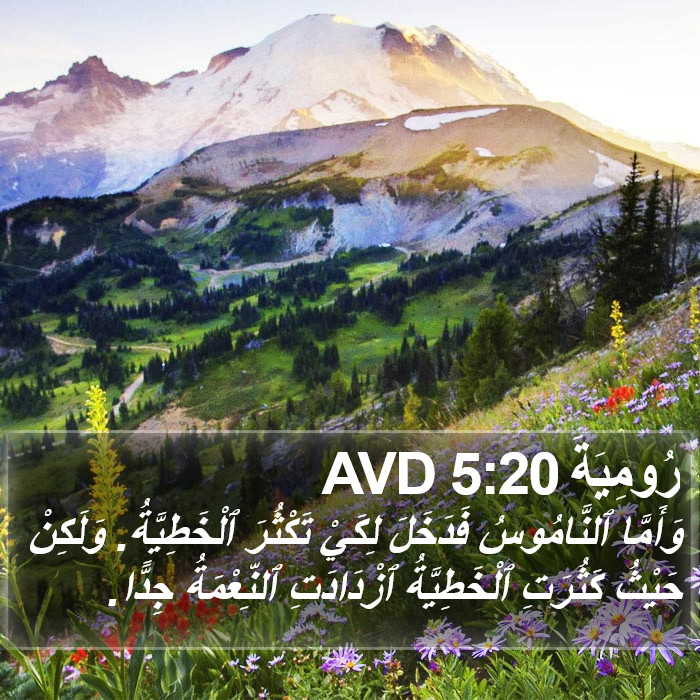 رُومِيَةَ 5:20 AVD Bible Study