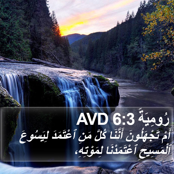 رُومِيَةَ 6:3 AVD Bible Study