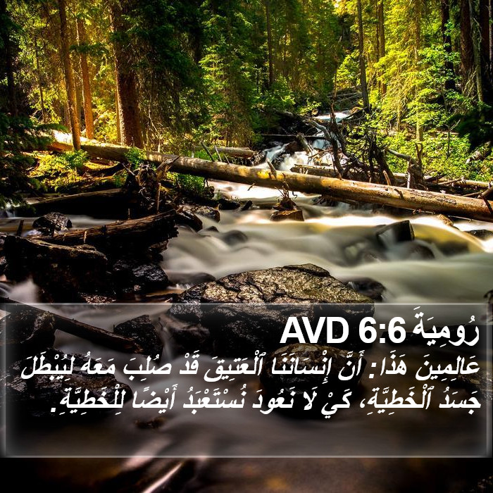 رُومِيَةَ 6:6 AVD Bible Study