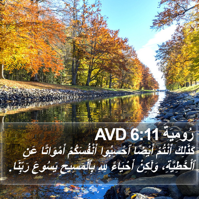 رُومِيَةَ 6:11 AVD Bible Study