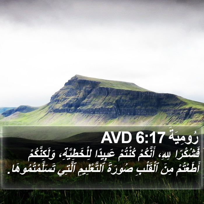 رُومِيَةَ 6:17 AVD Bible Study