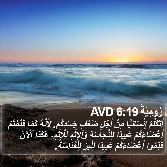 رُومِيَةَ 6:19 AVD Bible Study