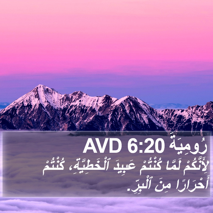 رُومِيَةَ 6:20 AVD Bible Study