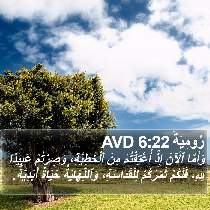 رُومِيَةَ 6:22 AVD Bible Study