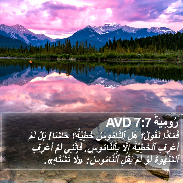 رُومِيَةَ 7:7 AVD Bible Study