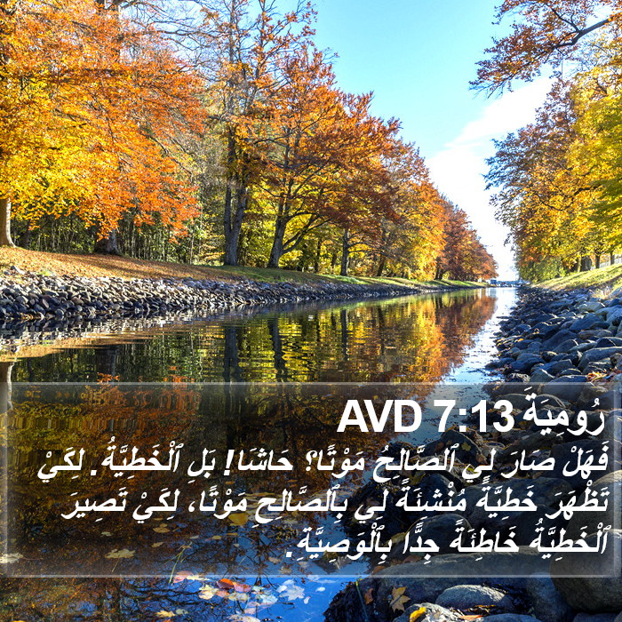 رُومِيَةَ 7:13 AVD Bible Study