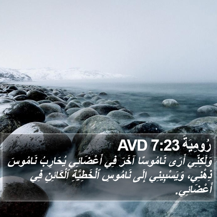 رُومِيَةَ 7:23 AVD Bible Study