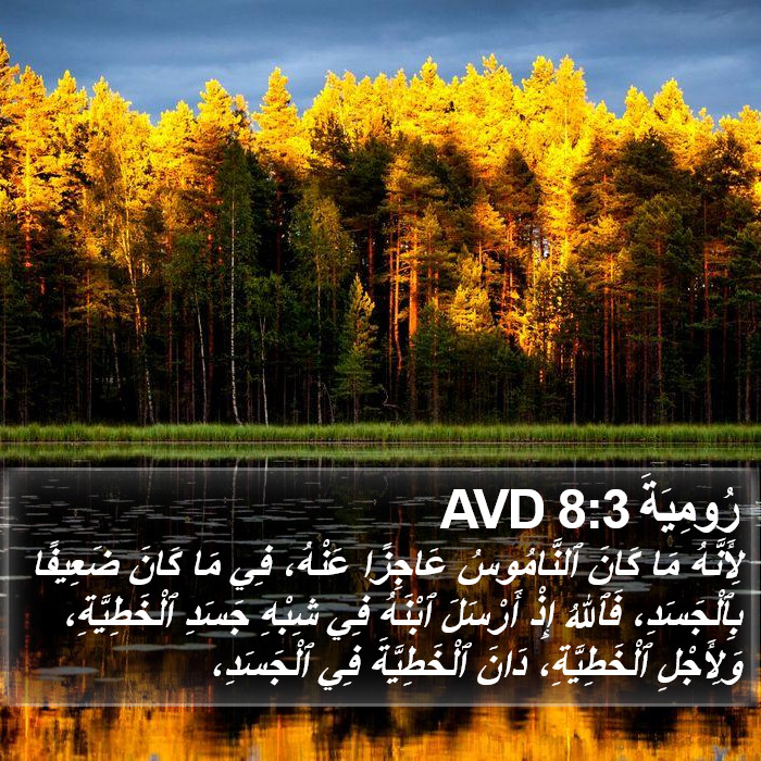 رُومِيَةَ 8:3 AVD Bible Study