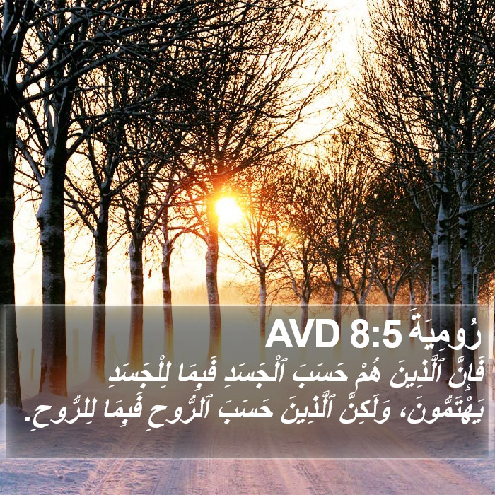 رُومِيَةَ 8:5 AVD Bible Study