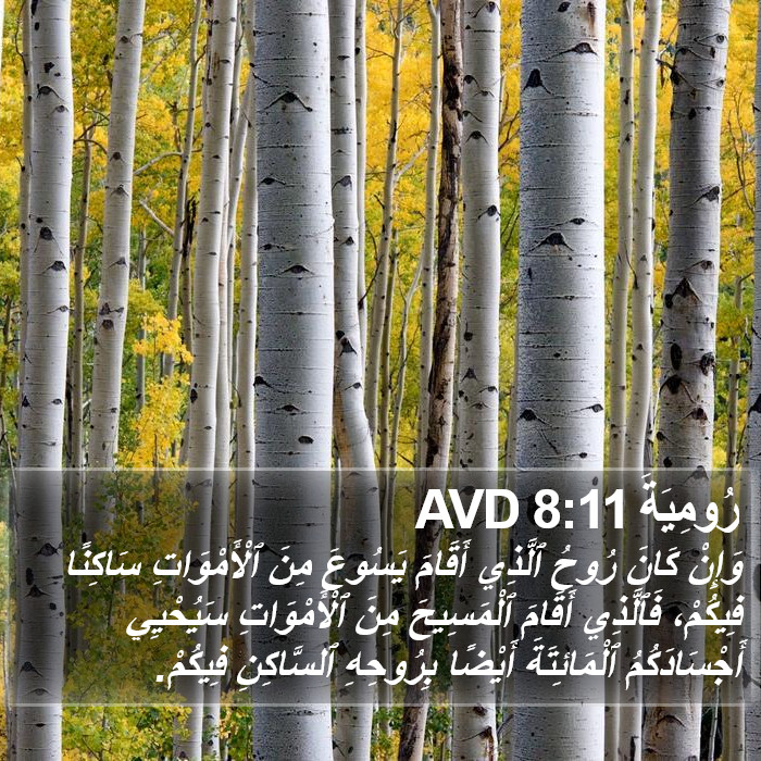 رُومِيَةَ 8:11 AVD Bible Study