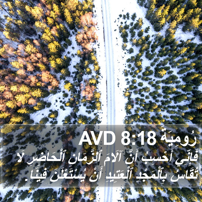 رُومِيَةَ 8:18 AVD Bible Study