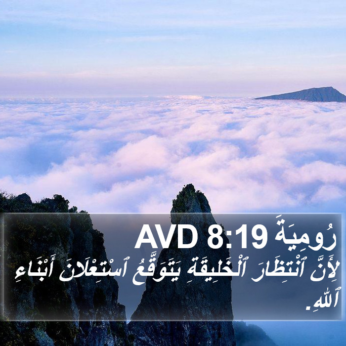 رُومِيَةَ 8:19 AVD Bible Study
