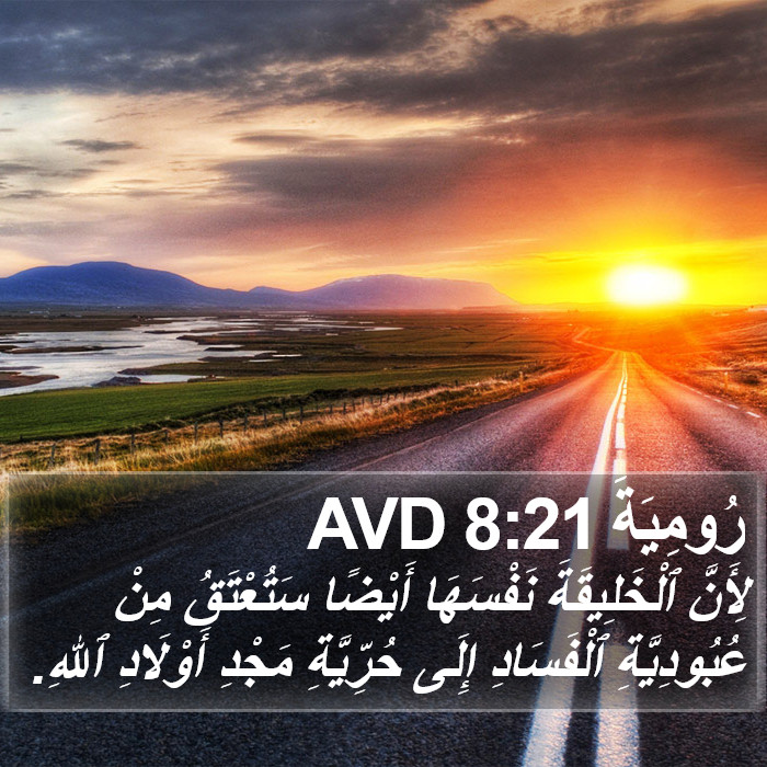 رُومِيَةَ 8:21 AVD Bible Study