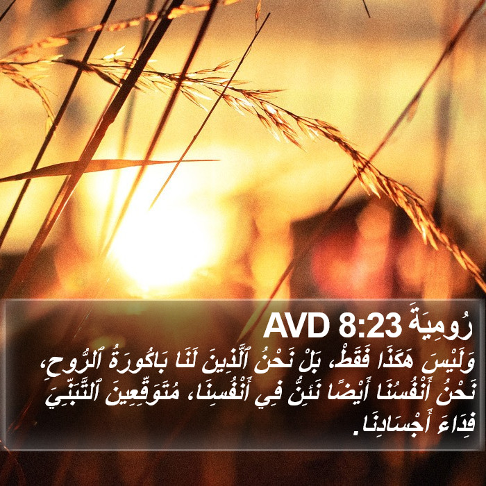رُومِيَةَ 8:23 AVD Bible Study