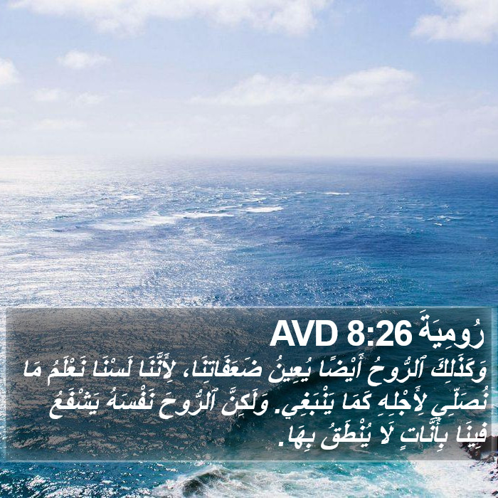 رُومِيَةَ 8:26 AVD Bible Study