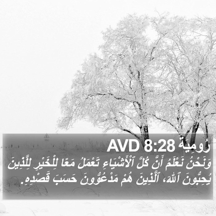 رُومِيَةَ 8:28 AVD Bible Study