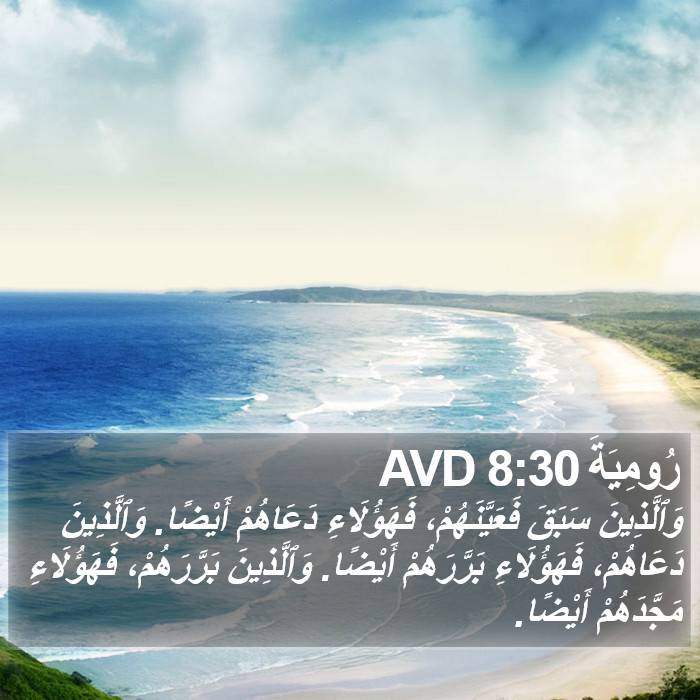رُومِيَةَ 8:30 AVD Bible Study