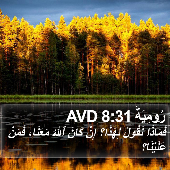 رُومِيَةَ 8:31 AVD Bible Study