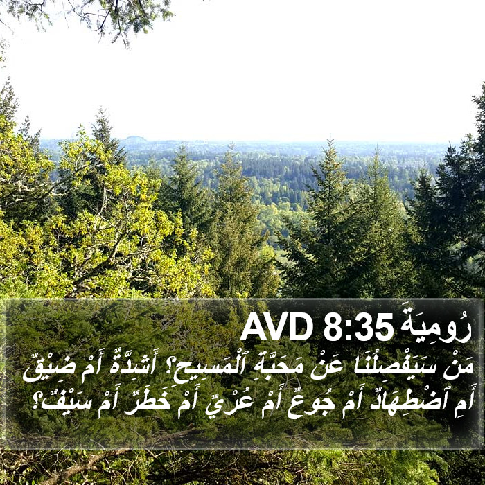 رُومِيَةَ 8:35 AVD Bible Study