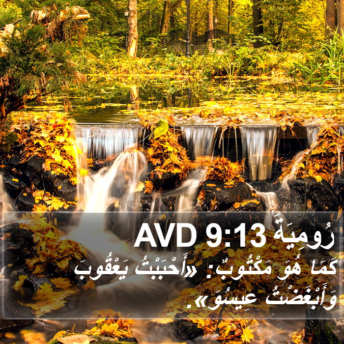رُومِيَةَ 9:13 AVD Bible Study
