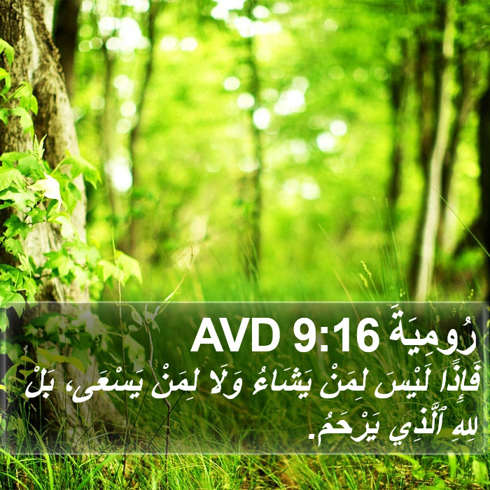 رُومِيَةَ 9:16 AVD Bible Study