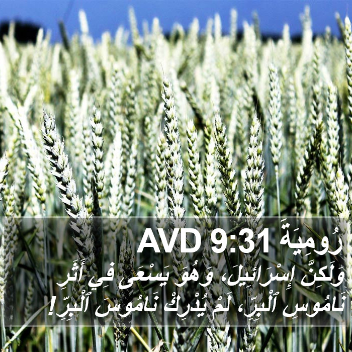 رُومِيَةَ 9:31 AVD Bible Study