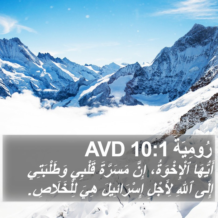 رُومِيَةَ 10:1 AVD Bible Study