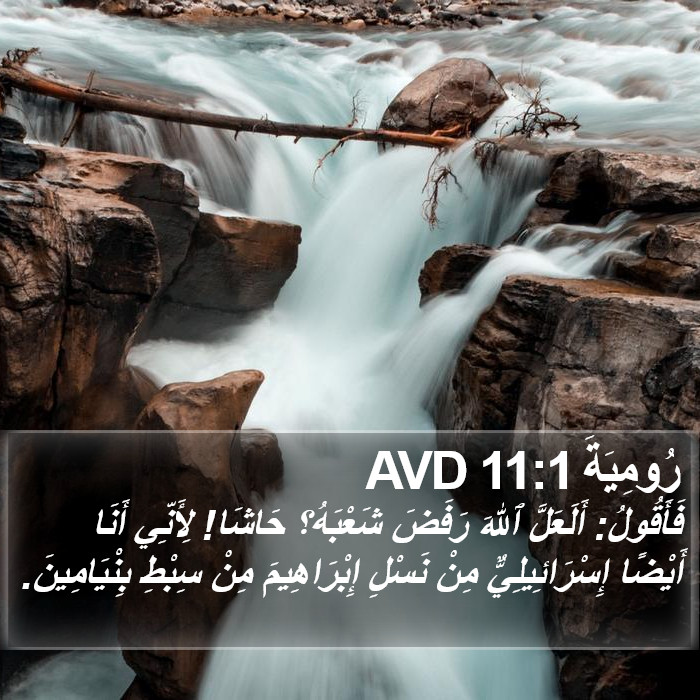 رُومِيَةَ 11:1 AVD Bible Study