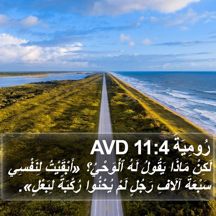 رُومِيَةَ 11:4 AVD Bible Study