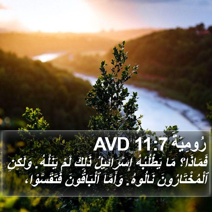 رُومِيَةَ 11:7 AVD Bible Study