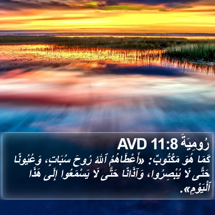 رُومِيَةَ 11:8 AVD Bible Study