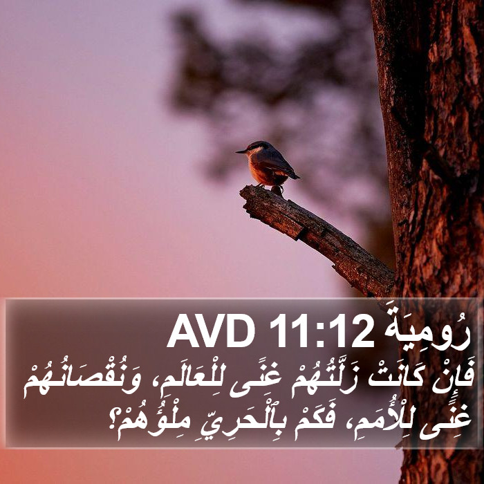 رُومِيَةَ 11:12 AVD Bible Study