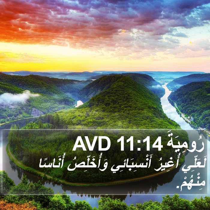 رُومِيَةَ 11:14 AVD Bible Study