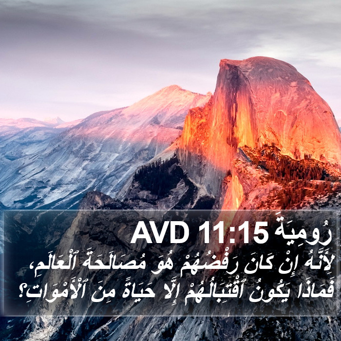 رُومِيَةَ 11:15 AVD Bible Study