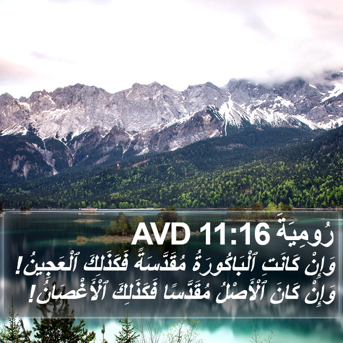 رُومِيَةَ 11:16 AVD Bible Study