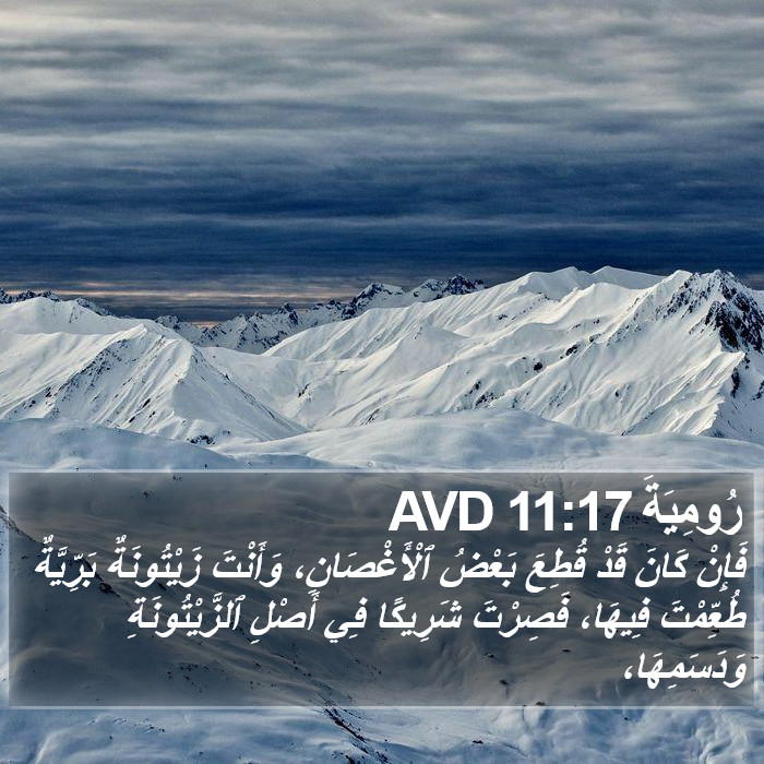 رُومِيَةَ 11:17 AVD Bible Study