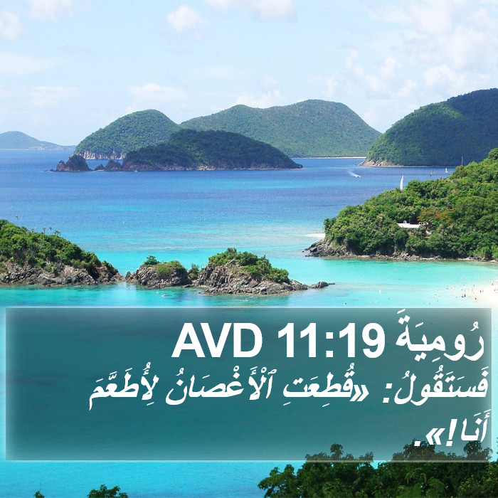 رُومِيَةَ 11:19 AVD Bible Study