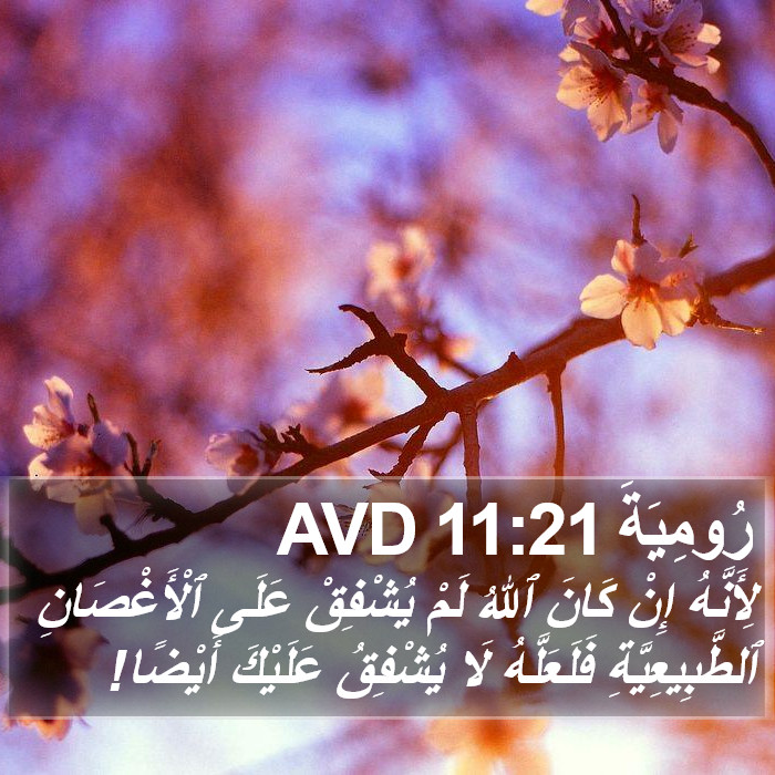 رُومِيَةَ 11:21 AVD Bible Study