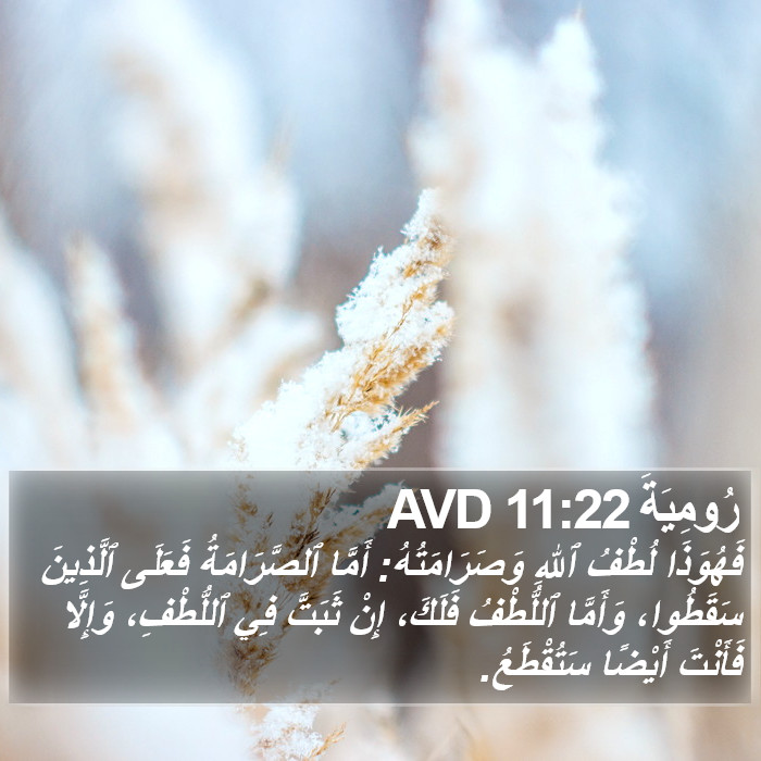 رُومِيَةَ 11:22 AVD Bible Study