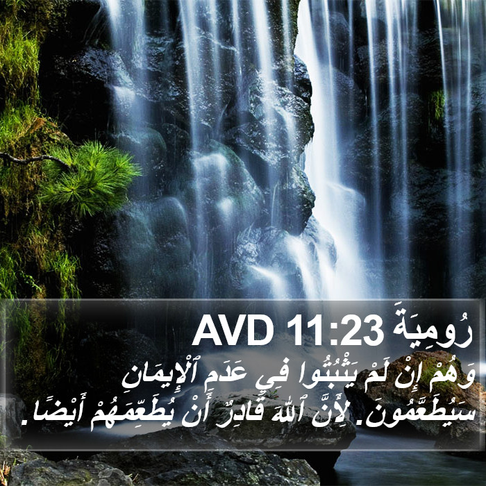 رُومِيَةَ 11:23 AVD Bible Study