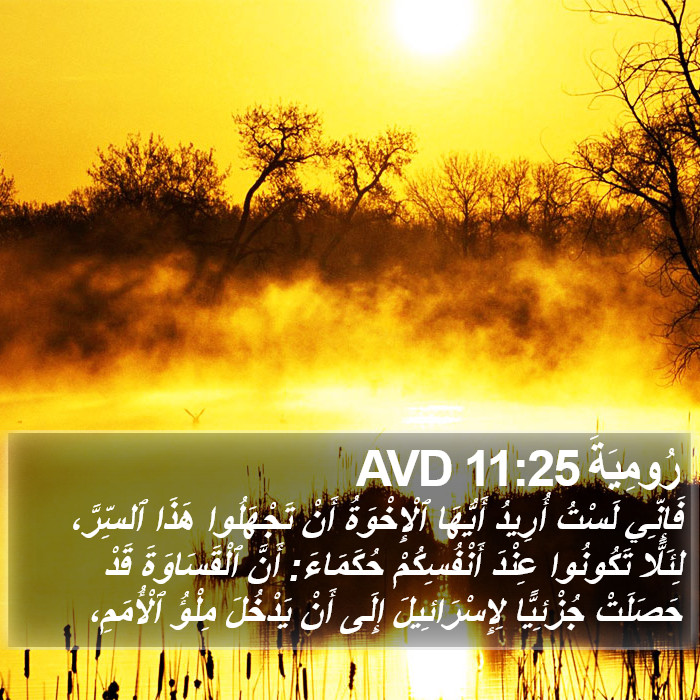 رُومِيَةَ 11:25 AVD Bible Study