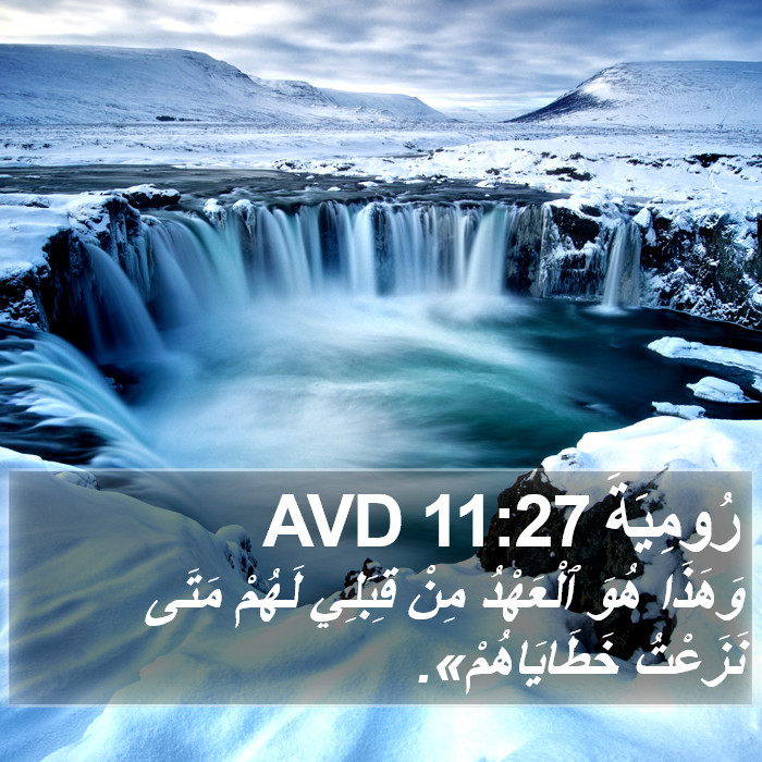 رُومِيَةَ 11:27 AVD Bible Study