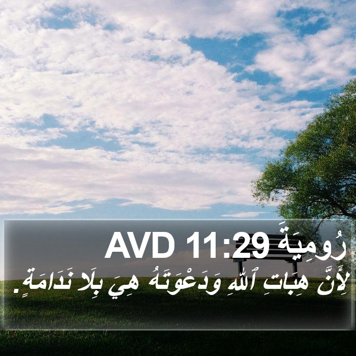 رُومِيَةَ 11:29 AVD Bible Study