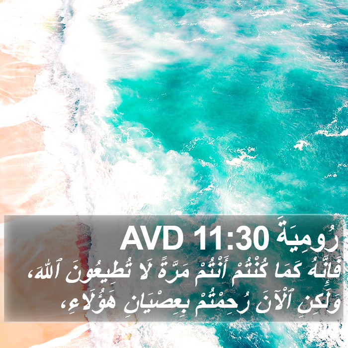 رُومِيَةَ 11:30 AVD Bible Study