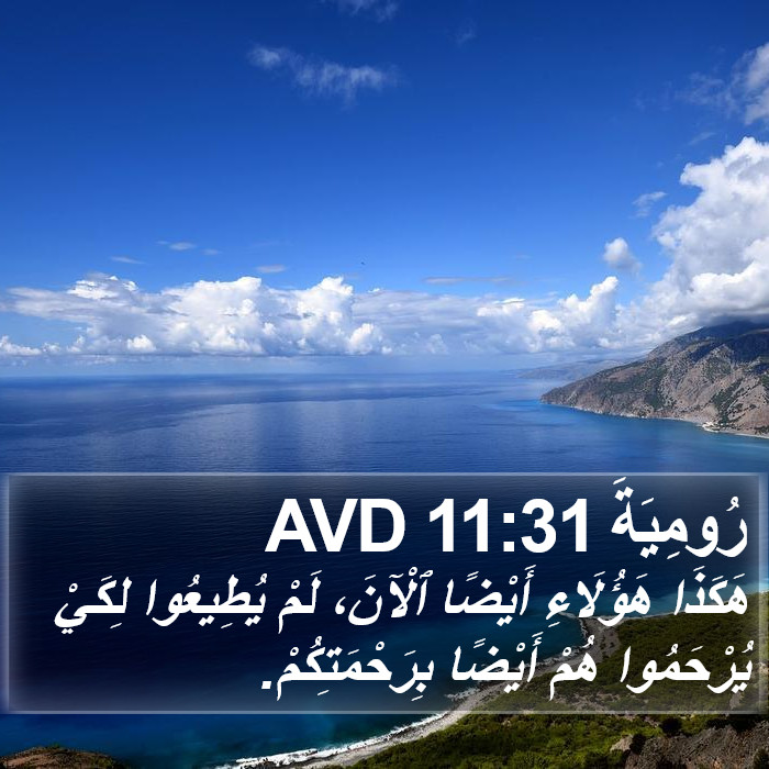 رُومِيَةَ 11:31 AVD Bible Study